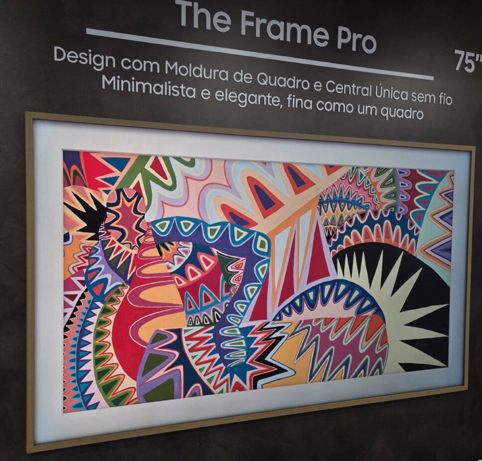 The Frame Pro 2027