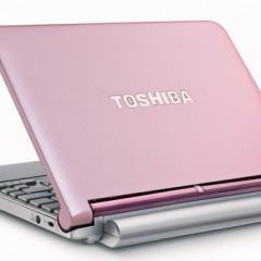 Netbook Toshiba NB205 com Porta USB Sleep-and-Charge