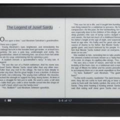 Sony Reader Daily Edition com 3G e Tela Touchscreen de 7″