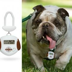 Gadget Canino: Pedômetro para Cães!