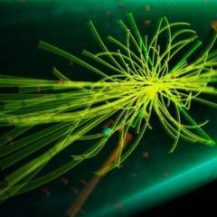 Partícula de Higgs Confirmada: A Descoberta dos Midi-Clorians