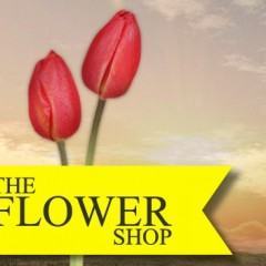 The Flower Shop: Seja Produtor de um Filme de Hollywood!