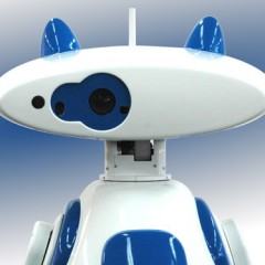 Ubiko, Um Robô Prestativo de Aluguel