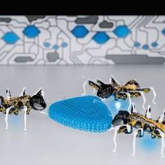 Tecnologia inspirada na natureza: BionicANTS, eMotionButterflies e FlexShapeGripper
