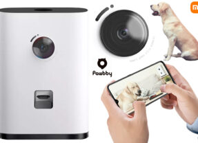 Pawbby Smart Pet Snack Machine com câmera de vídeo e arremessador de guloseimas (Xiaomi)