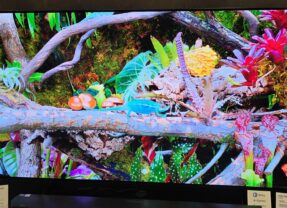 Samsung lança novo portfólio de TVs no Brasil, com destaque para as TVs Micro RGB
