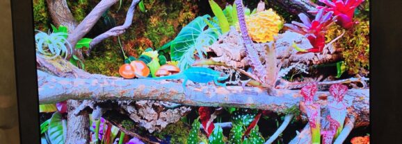 Samsung lança novo portfólio de TVs no Brasil, com destaque para as TVs Micro RGB